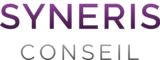 logo syneris conseil 300dpi